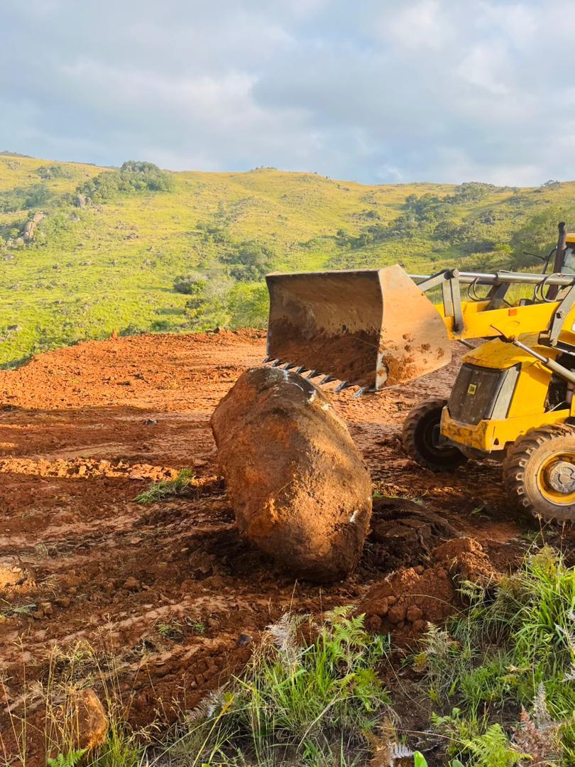 Rock clearance and land preparation